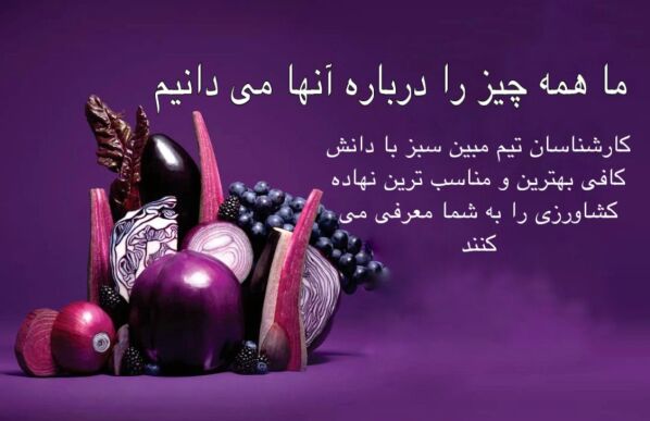 کارشناسی محصولات کشاورزی